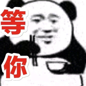 qq531301943